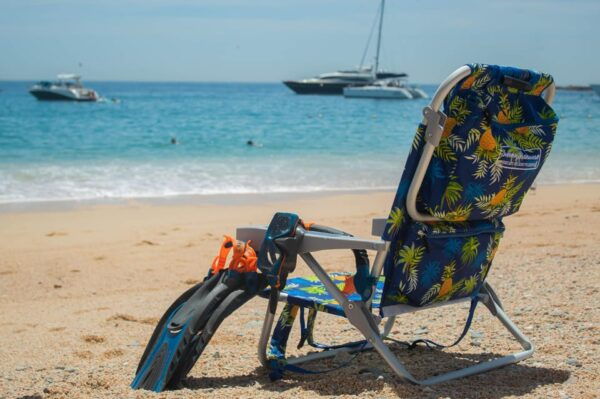 Los Cabos: Snorkel & Beach Day at Chileno + Transportation - Restrictions