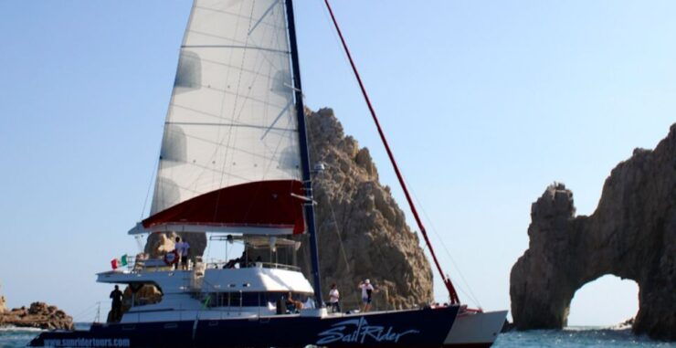 Los Cabos: Snorkeling Discovery Cruise With Lunch or Dinner - Experience Highlights