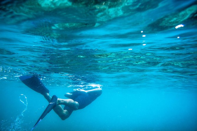 Los Cabos Snorkeling Tour to Chileno Bay and Santa Maria Cove - Cancellation Policy