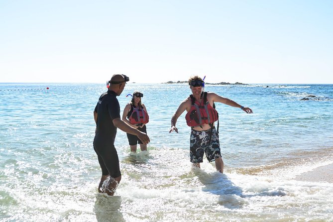 Los Cabos Snorkeling Tour to Chileno Bay and Santa Maria Cove - Snorkeling Experience and Feedback