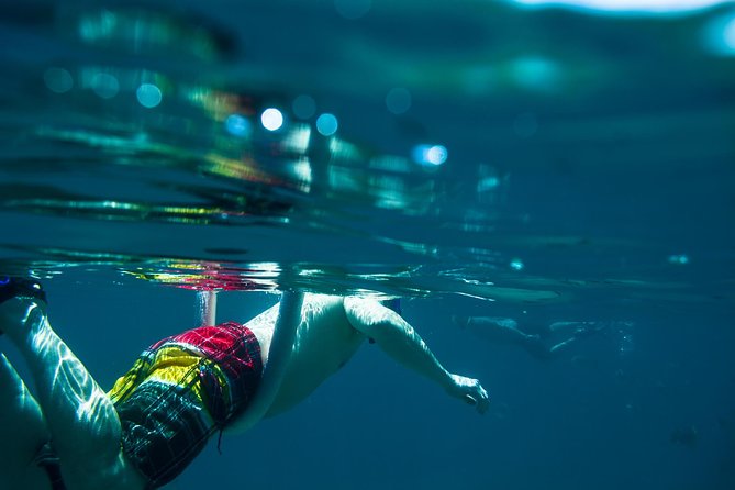 Los Cabos Snorkeling Tour to Chileno Bay and Santa Maria Cove - Areas for Improvement and Suggestions
