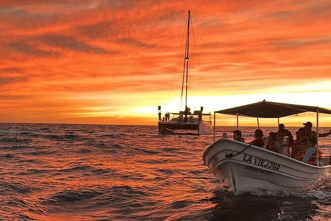 Los Cabos Sunset Boat Tour - Good To Know