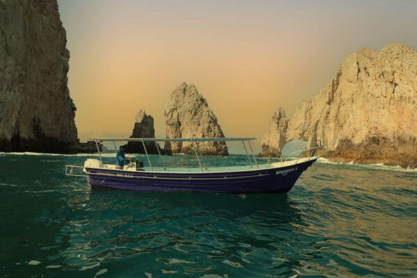 Los Cabos: Sunset Boat Tour to the Arch and Sea Lions - Frequently Asked Questions