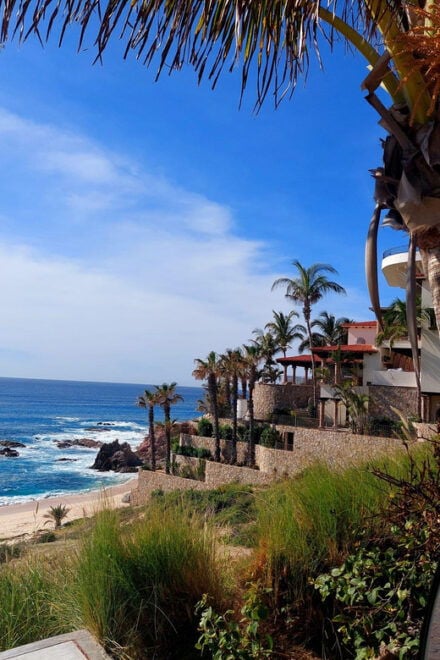 Los Cabos: Todos Santos and Cabo Private Tour - Tour Highlights