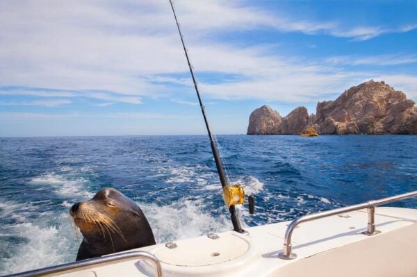 Los Cabos: Tour of Rock Formations and Beach Visits - Exploring El Medano Beach