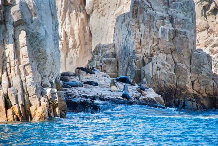 Los Cabos: Tour of Rock Formations and Snorkeling - Good To Know