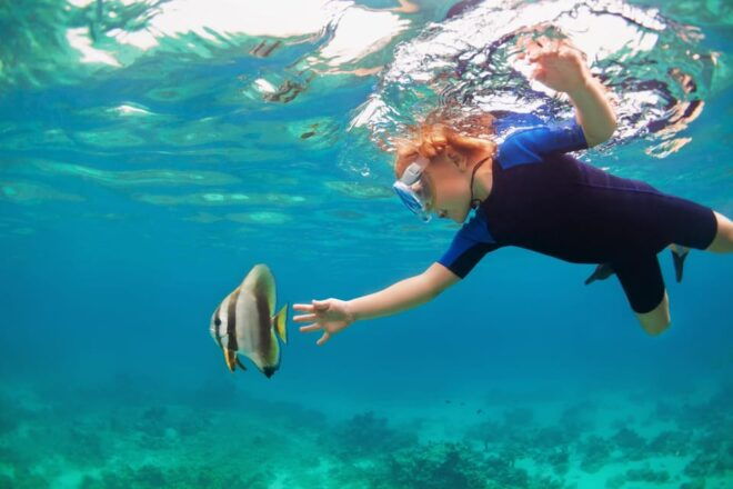 Los Cabos: Tour of Rock Formations and Snorkeling - Important Information
