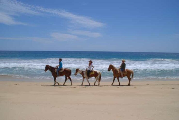 Los Cabos: Tranquil Horse Riding Experience - Scenic Trails