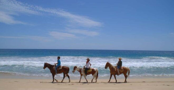 Los Cabos: Tranquil Horse Riding Experience - Guided by Equestrians