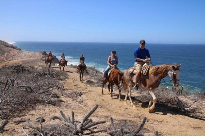 Los Cabos: Tranquil Horse Riding Experience - Immersive Nature