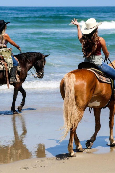 Los Cabos: Tranquil Horse Riding Experience - Booking and Availability