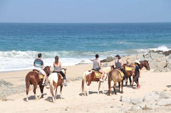 Los Cabos: Tranquil Horse Riding Experience - Confidence and Safety