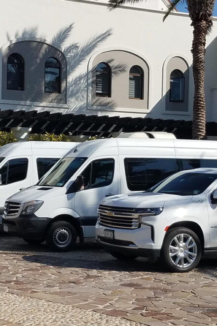 Los Cabos Transfers: San Jose Del Cabo - Important Policies