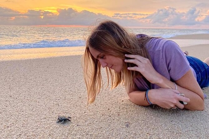 Los Cabos Turtle Release Conservation Program - Free Cancellation Policy