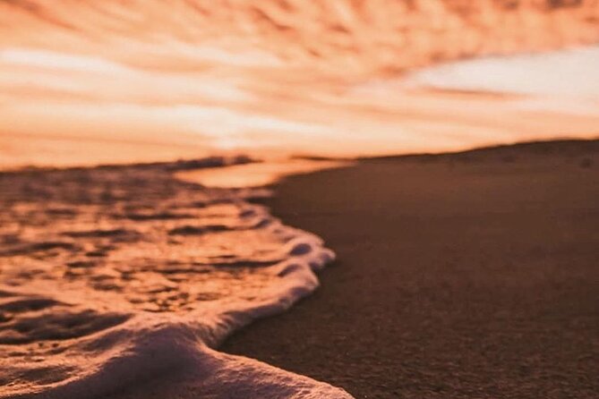 Los Cabos Turtle Release Conservation Program - The Sum Up