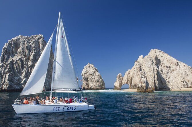 Los Cabos Whale Watching Adventure with Snacks and Drinks - The Sum Up