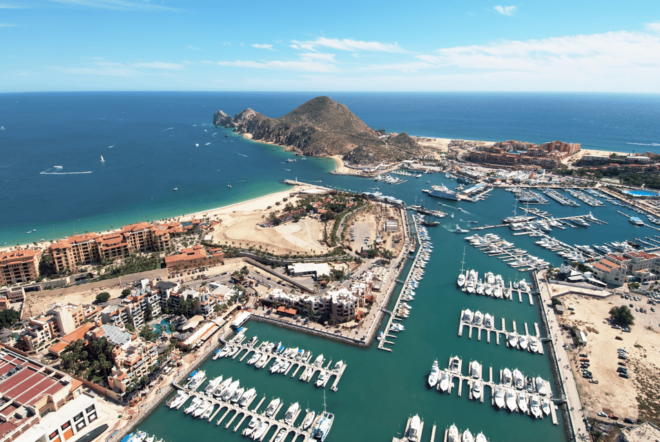 Los Cabos: Whale Watching Cruise With Open Bar - Inclusions and Costs