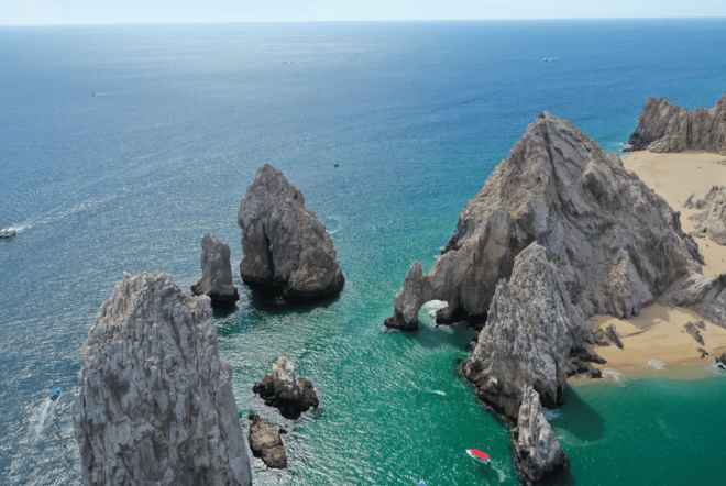 Los Cabos: Whale Watching Cruise With Open Bar - Customer Feedback