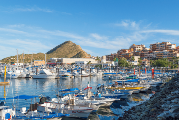 Los Cabos: Whale Watching Cruise With Open Bar - Whale Watching Etiquette