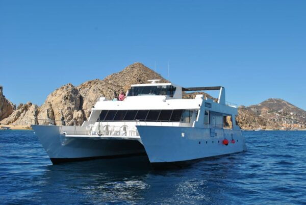 Los Cabos: Whale Watching Cruise With Open Bar - Frequently Asked Questions