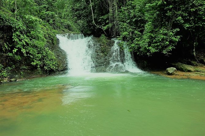 Los Campesinos Reserve, Waterfalls and Wildlife: Small-Group  - Quepos - Hassle-Free Experience Highlights