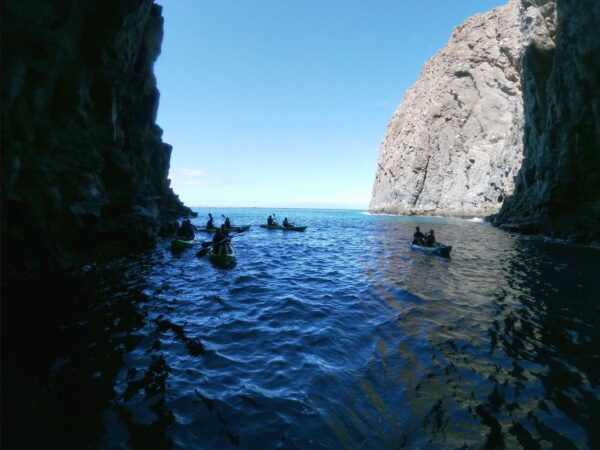 Los Cristianos: Kayak and Snorkel With Turtles - Common Questions