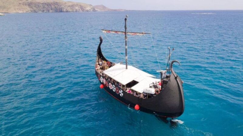 Los Cristianos: Observation With Respect for Whales & Dolphins - Chances of Spotting Dolphins and Whales