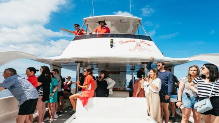 Los Cristianos: Sunset Tour Ecoyacht Whale Watching - Activity Details