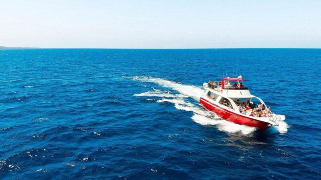 Los Cristianos: Sunset Tour Ecoyacht Whale Watching - Inclusions