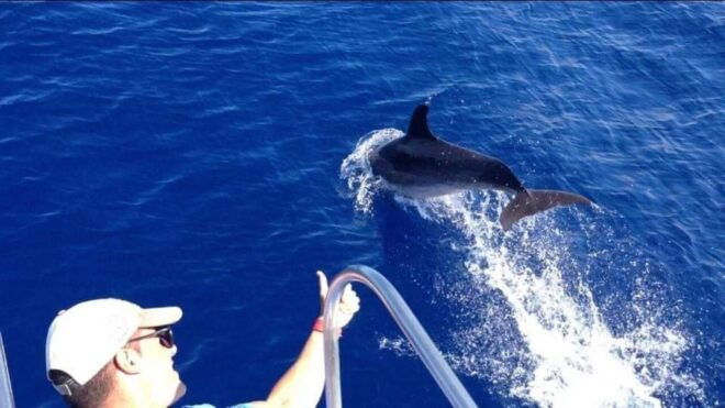 Los Cristianos: Sunset Tour Ecoyacht Whale Watching - Not Suitable For