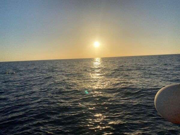 Los Cristianos: Sunset Tour Ecoyacht Whale Watching - Embark on the Travelin Lady