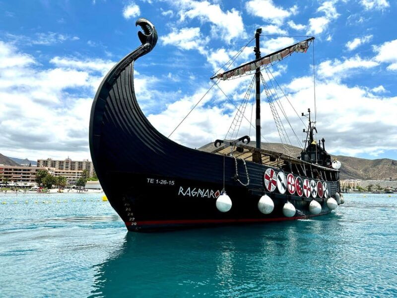 Los Cristianos: Whale and Dolphin Cruise With Swimming Time - Good To Know