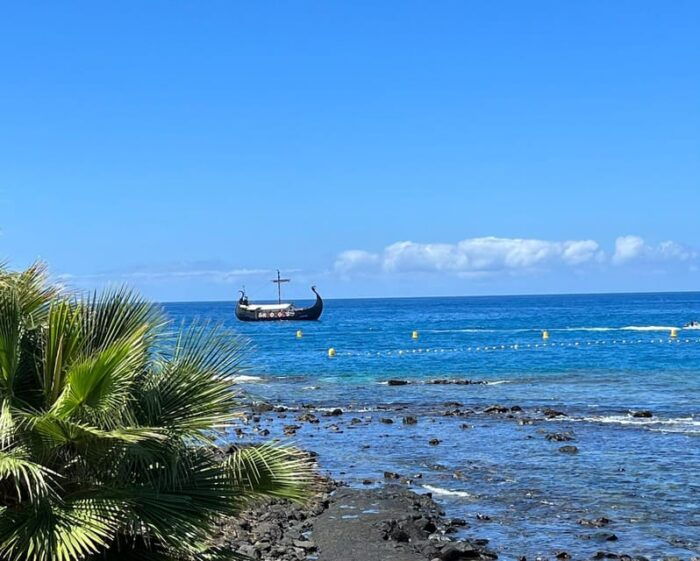 Los Cristianos: Whale and Dolphin Cruise With Swimming Time - Exploring the South Coast of Tenerife
