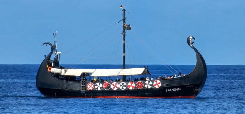 Los Cristianos: Whale Watching Cruise w/Swim Stop & Drinks - Practical Details: What to Expect