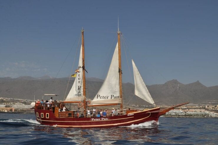 Los Cristianos: Whale-Watching Sailboat Tour 3 Hours and Food. - Experience Highlights