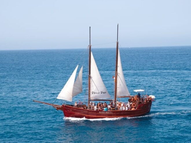 Los Cristianos: Whale-Watching Sailboat Tour 3 Hours and Food. - Inclusions