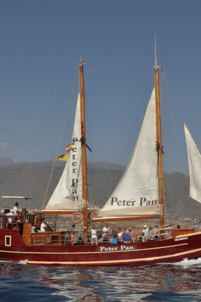 Los Cristianos: Whale-Watching Sailboat Tour 3 Hours and Food. - Customer Reviews