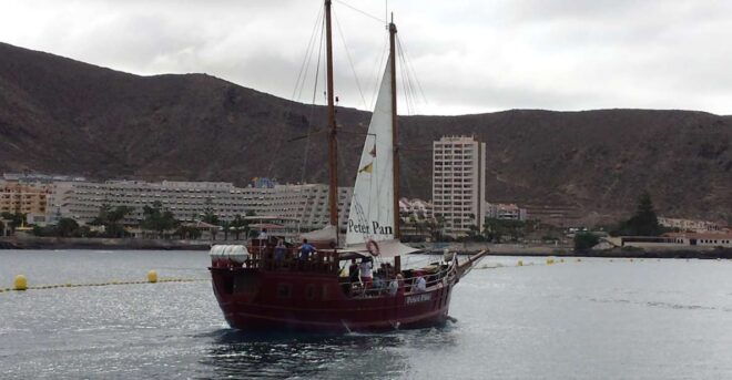 Los Cristianos: Whale-Watching Sailboat Tour and Soft Drinks - Itinerary
