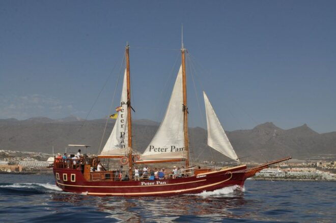 Los Cristianos: Whale-Watching Sailboat Tour and Soft Drinks - Highlights