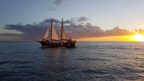 Los Cristianos: Whale-Watching Sailboat Tour and Soft Drinks - Review Summary