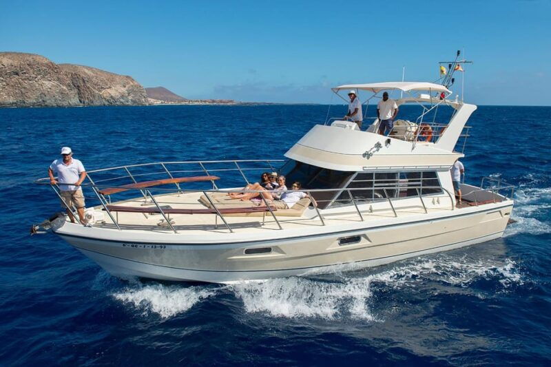 Los Cristianos: Whale Watching Tour and Swimming in the Sea on a Yacht for 22 Persons - Good To Know