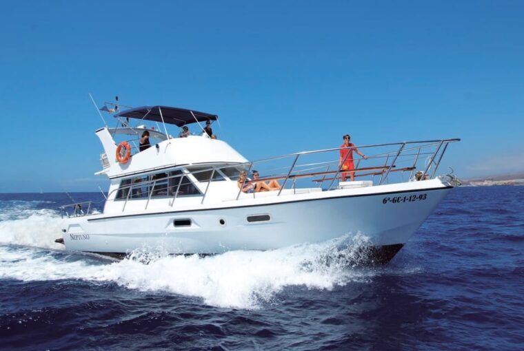 Los Cristianos: Whale Watching Tour and Swimming in the Sea on a Yacht for 22 Persons - Meeting Point and Preparation