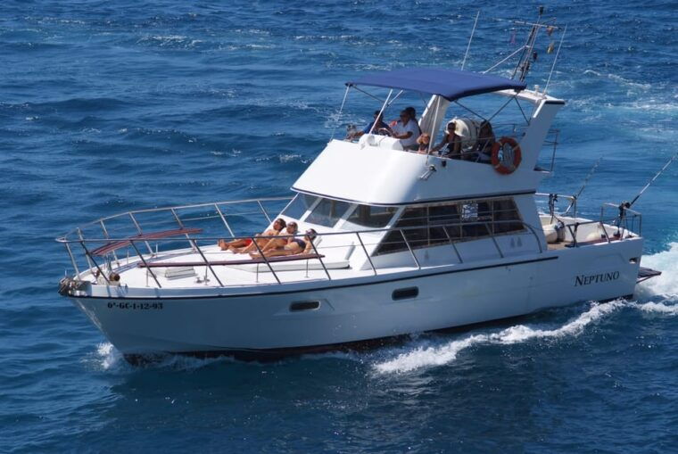 Los Cristianos: Whale Watching Tour and Swimming in the Sea on a Yacht for 22 Persons - Sustainability and Environmental Considerations