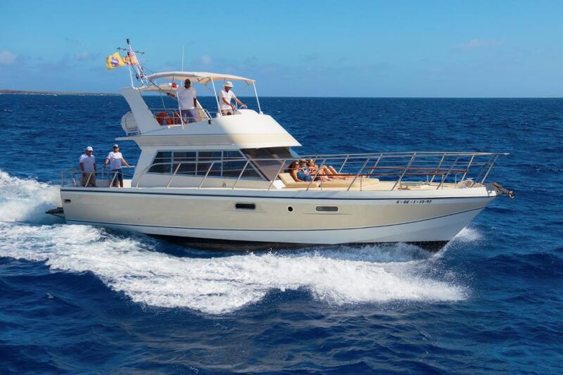 Los Cristianos: Whale Watching Tour With Swimming and Lunch on Yacht for 22 Passengers - Good To Know