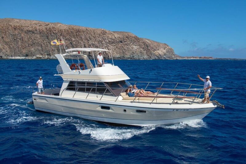 Los Cristianos: Whale Watching Tour With Swimming and Lunch on Yacht for 22 Passengers - Boat Features and Experience
