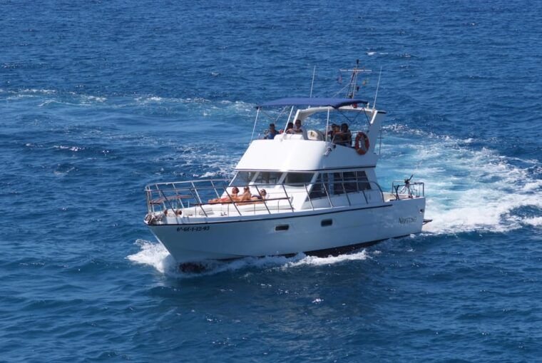Los Cristianos: Whale Watching Tour With Swimming and Lunch on Yacht for 22 Passengers - Customer Feedback and Recommendations
