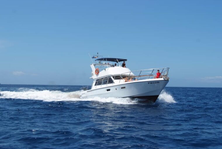 Los Cristianos: Whale Watching Tour With Swimming and Lunch on Yacht for 22 Passengers - Lunch Menu and Inclusions