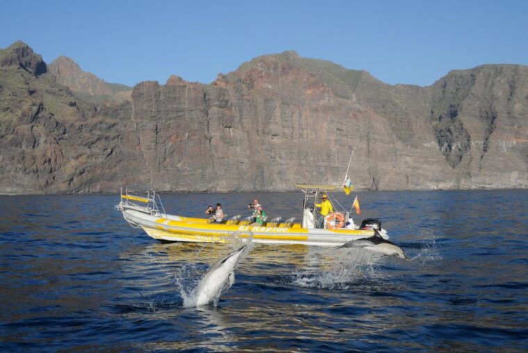 Los Gigantes: Dolphin and Whale Watching Cruise by Speedboat - Reviews and Ratings