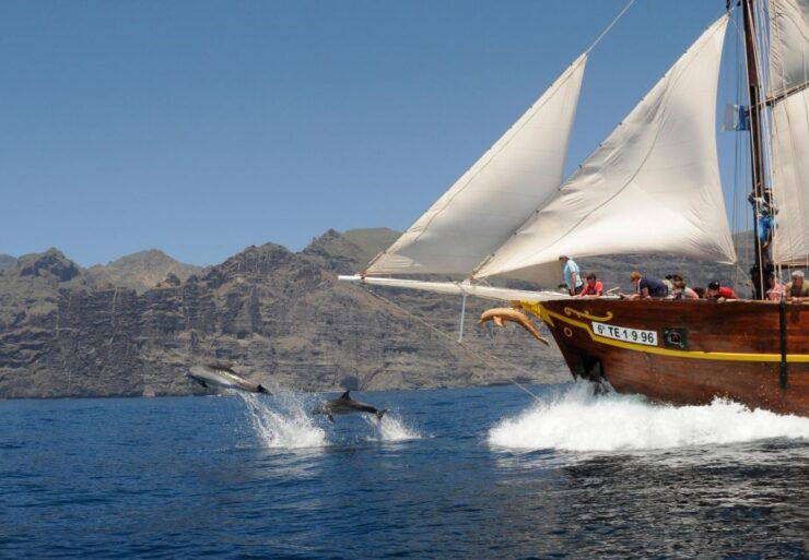 Los Gigantes: Dolphin and Whale Watching Tour With Drinks - Inclusions