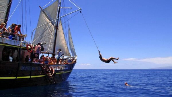 Los Gigantes: Dolphin and Whale Watching Tour With Drinks - The Sum Up